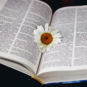 Uppstart – Bibelstudium